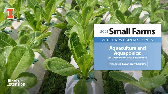 Aquaculture and Aquaponics: An Overview For Urban Agriculture