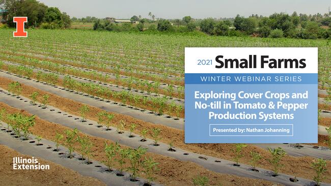 Exploring Cover Crops and No-till in Tomato & Pepper Production Systems