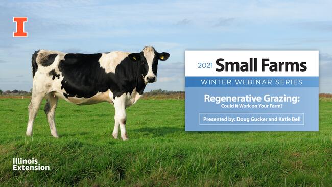 Regenerative Grazing - Could It Work on Your Farm?