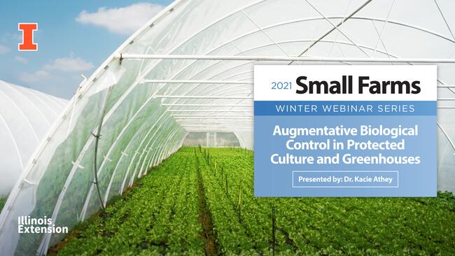 Augmentative Biological Control in Protected Culture and Greenhouses
