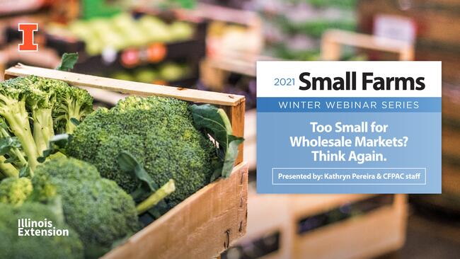  Too Small for Wholesale Markets? Think Again.     