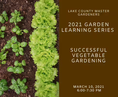 Successful Vegetable Gardening