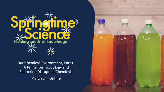 bottles of soda pop Our Chemical Environment