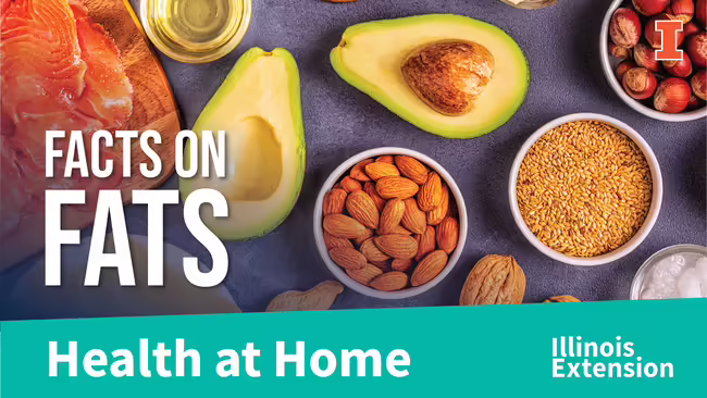 healthy fats in salmon, avocado and nuts