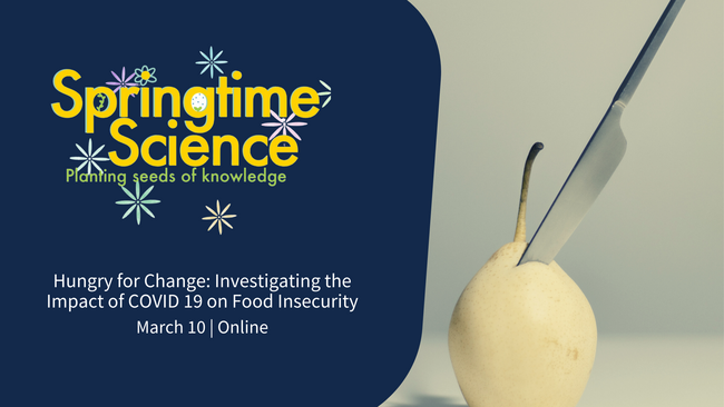 Impact of COVID 19 on Food Insecurity  food