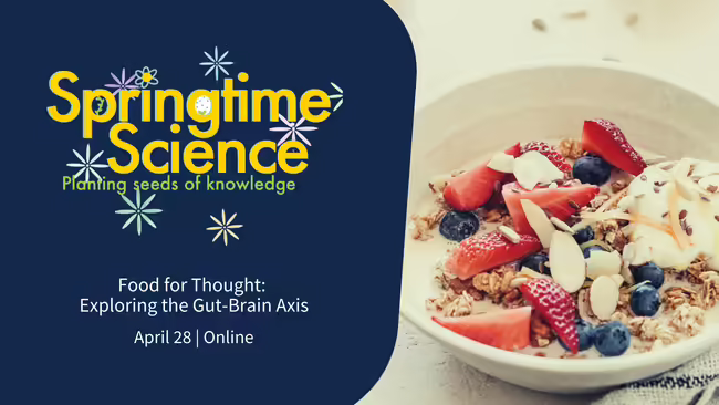 bowl of oats and fruit