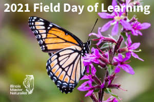 2021 Field Day of Learning 