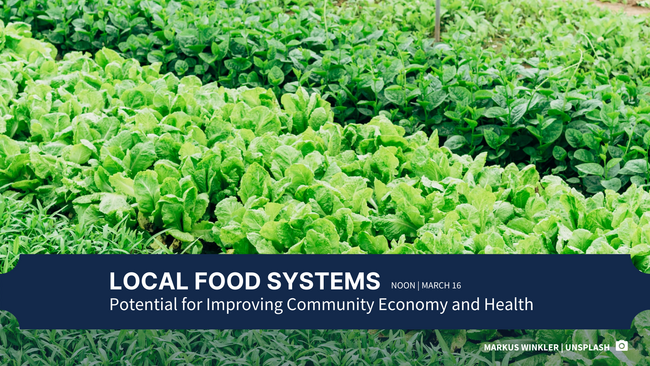 growing garden of local food system