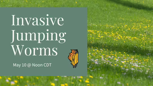 Invasive Worms