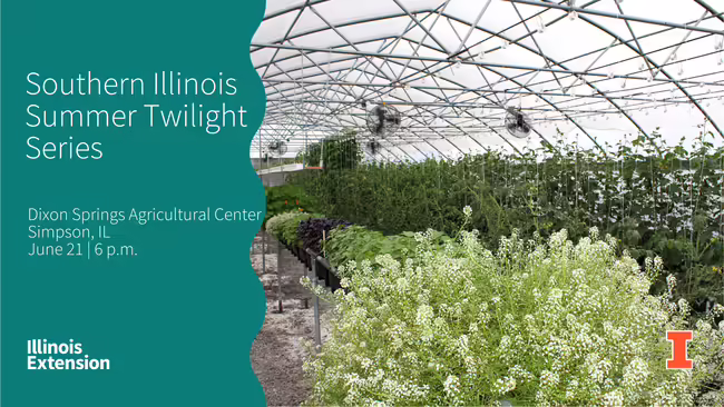 plants in high tunnel