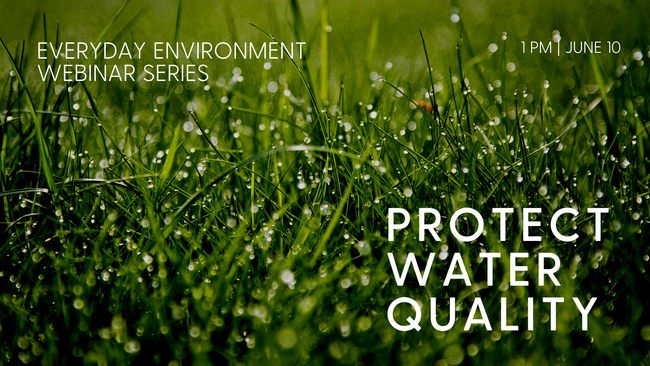 grass water quality webinar