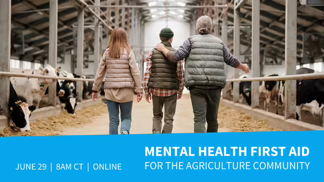 people walking through barn with cattle