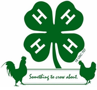4-H clover with roosters and the saying "something to crow about"