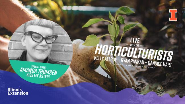 Image of plant with photo of Amanda Thomsen from Kiss My Aster on the image highlighted as a special guest