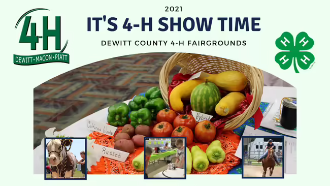 Basket of produce with three photos of 4-H activities