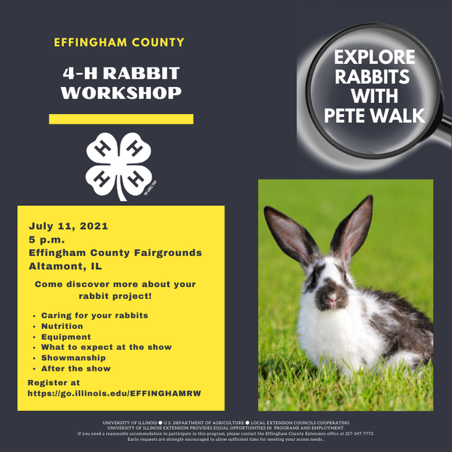 Effingham Rabbit Workshop