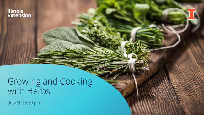 herbs on cutting board