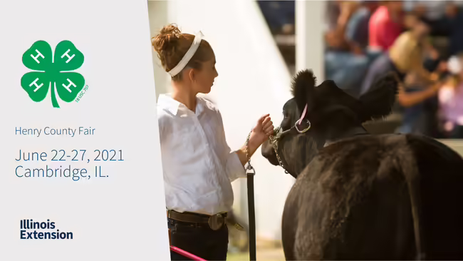 Henry County 4-H Shows