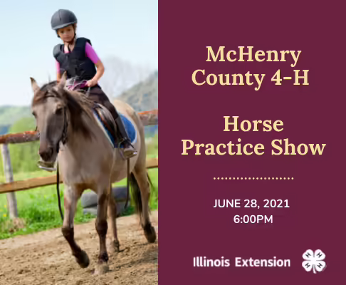 Horse Practice Show