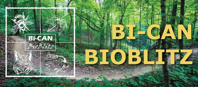 Bi-CAN BioBlitz 2021