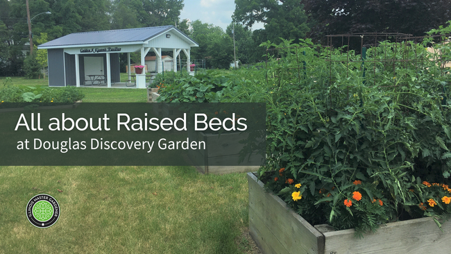 All about Raised Beds