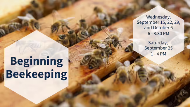 Beginning Beekeeping. Wednesday, September 15, 22, 29, and October 6 6 - 8:30 PM Saturday, September 25 1 - 4 PM