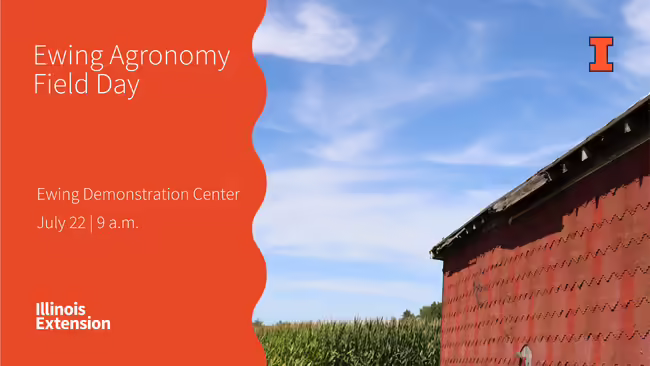 red barn in corn field