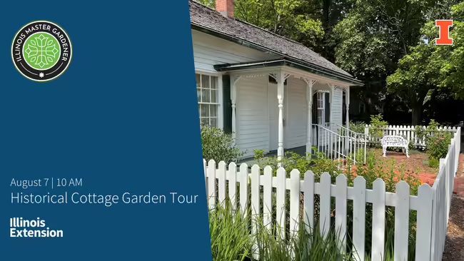 Cottage with white picket fence