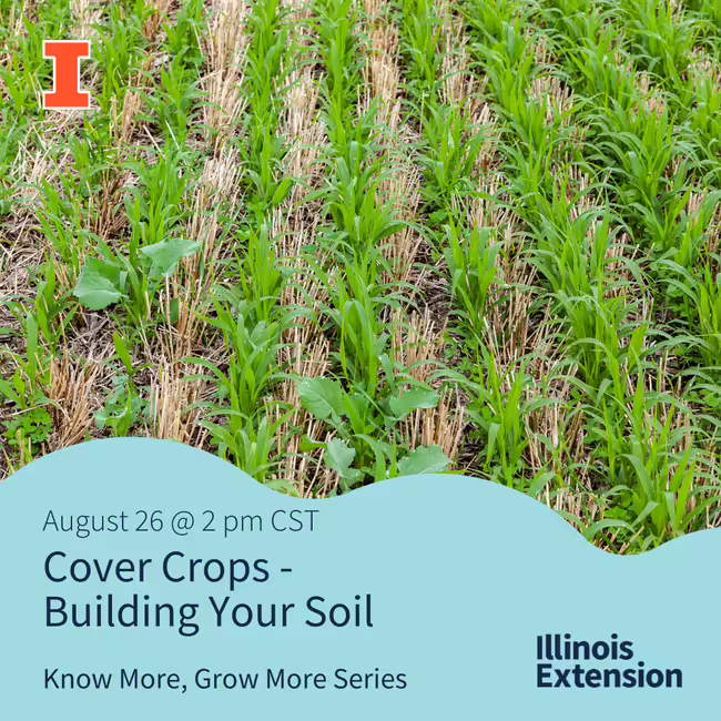 cover crops