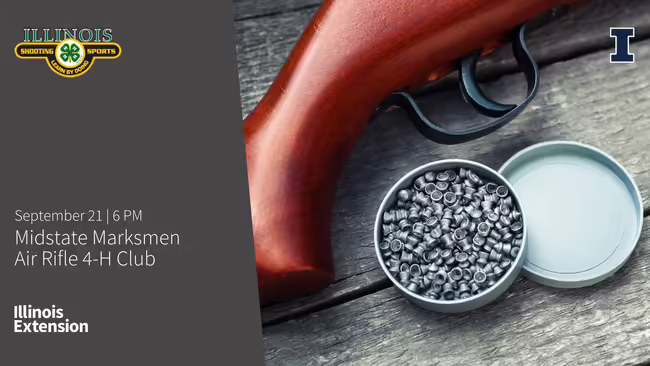 Air Rifle and Pellets