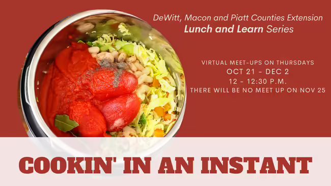 food in a pressure cooker