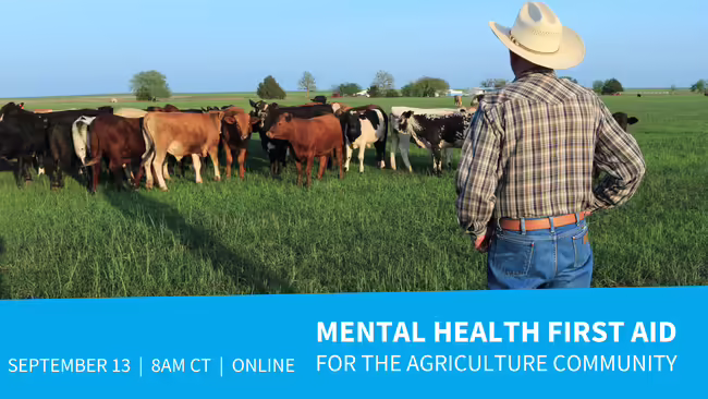 farmer overlooking a herd of cattle grazing in green grass