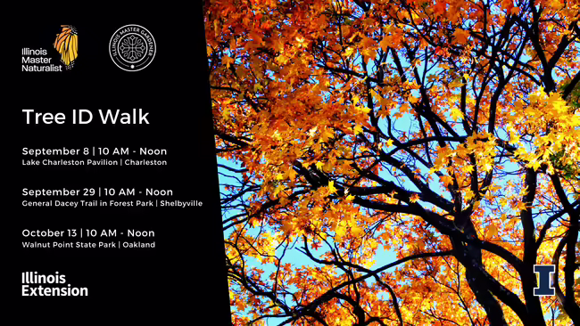 Tree ID Walk