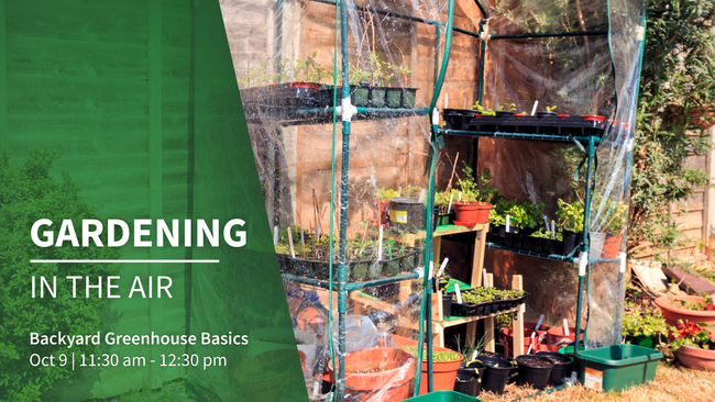 Backyard Greenhouse Basics: Gardening in the Air