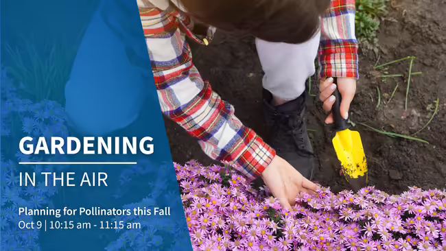 planning for pollinators