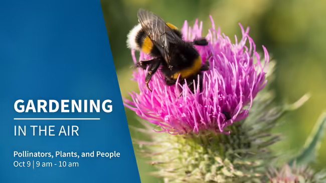 Pollinators Plants and People