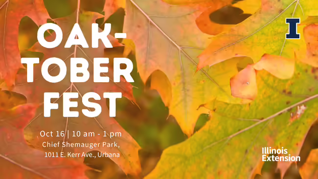 Oaktoberfest