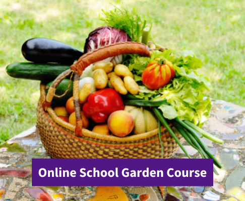 Online School Garden Course