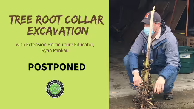 postponed