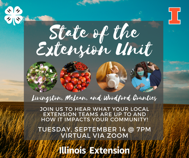 State of the Extension Unit invitation graphic