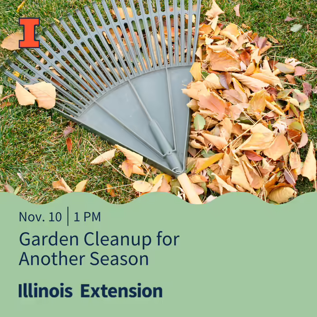 image of a rake with a pile of leaves