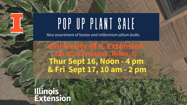 Pop Up Plant Sale