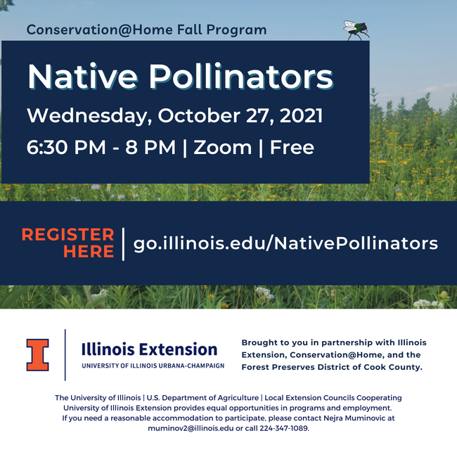 Illinois native pollinators zoom webinar on wednesday, october 27, 2021 from 6:30 pm to 8:00 pm. It is a free event that you can register for by visting the website: www.go.illinois.edu/nativepollinators