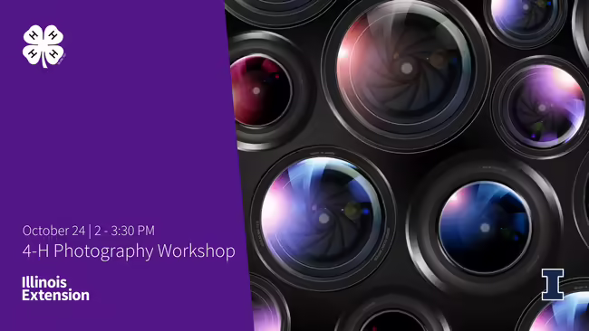 Purple with multiple camera lenses