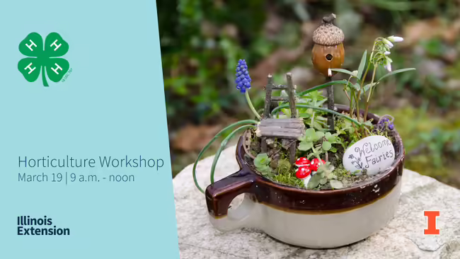 fairy garden in cup with text about horticulture workshop on March 19 from 9:30 a.m. to noon