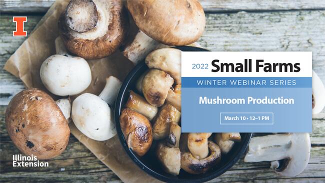 mushroom farming small farms
