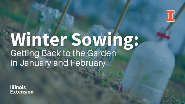 Winter Sowing