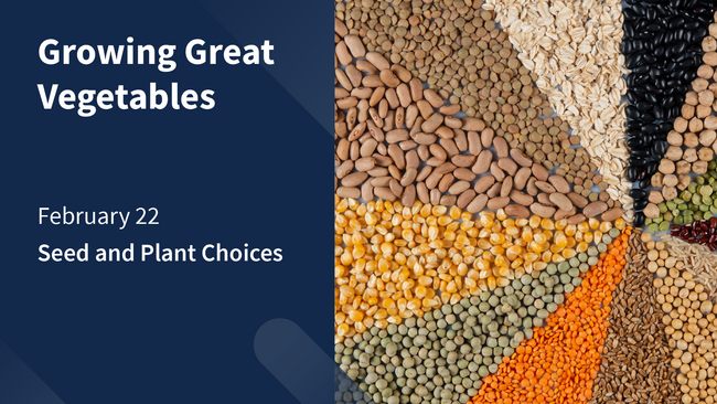 graphic: Growing Great Vegetables, seed and plant choices, photo: photos of vegetable seeds