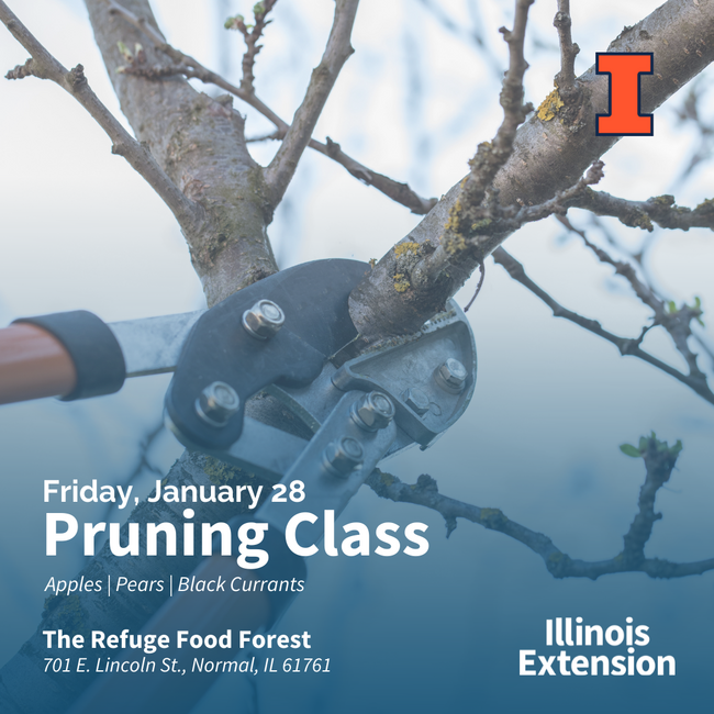 Cutting tool pruning tree branch with I block and Illinois Extension logos