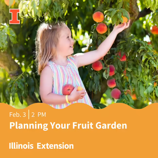 cjmmplanningyourfruitgarden